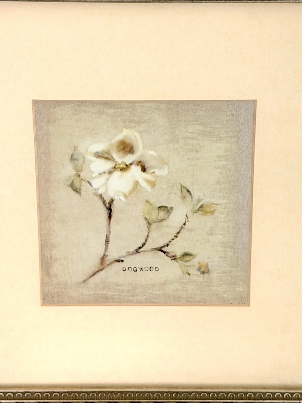Dogwood & Apple Tree Branch Spring Cheri Blum Cottage Art Framed Wall Hanging